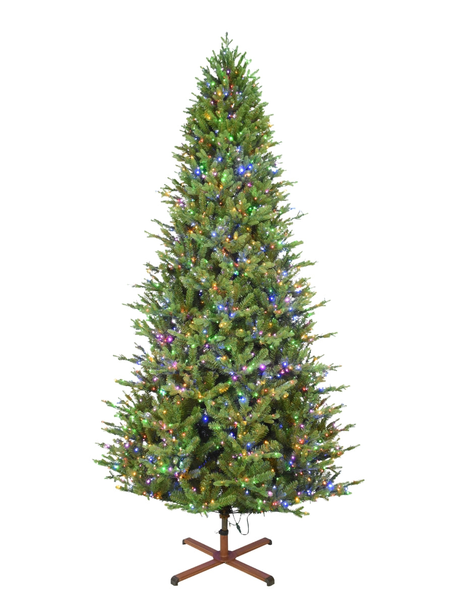 Balsam Fir 9'